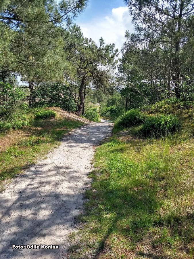 Klein Heemshof - Noord Holland Aan Uw Voeten Warmenhuizen Extérieur photo